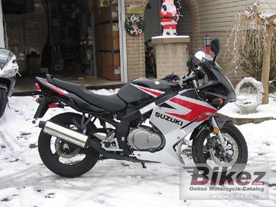 suzuki gs 500 2005